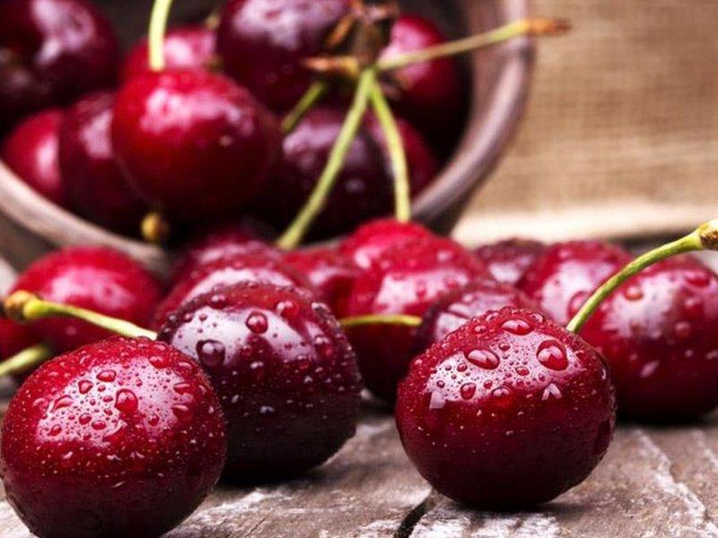 Вишня купить саженцы из питомника в Тихорецке